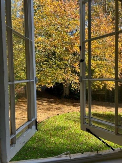 Landford'S Cottage, Your Retreat! Extérieur photo